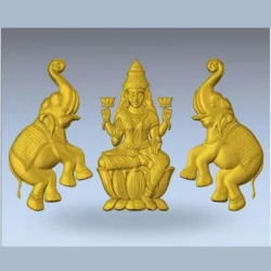 Elephant_11