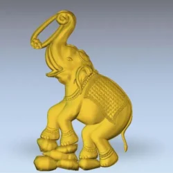 Elephant_5