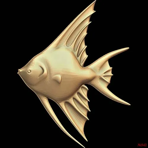 Fish_13