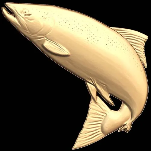 Fish_3