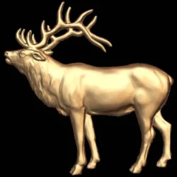 deer_4