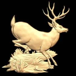 deer_5