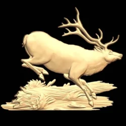 deer_6
