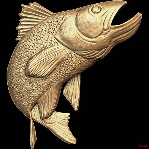 Fish