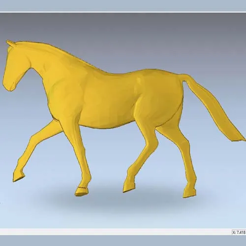 horse_5