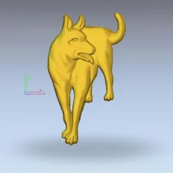 other animal_2
