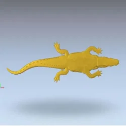 other animal_3