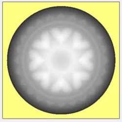 3_Flower_105
