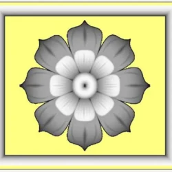 3_Flower_12