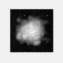 3_Flower_156