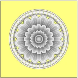 3_Flower_17