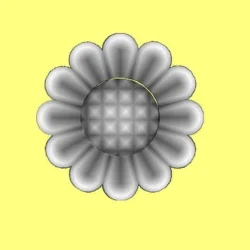 3_Flower_186