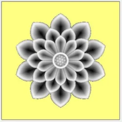 3_Flower_188