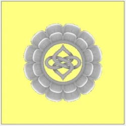 3_Flower_193