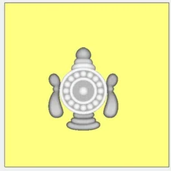 3_Flower_202