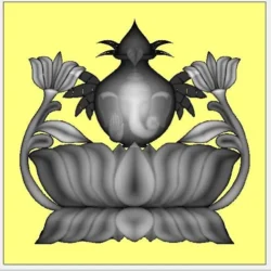 3_Flower_209