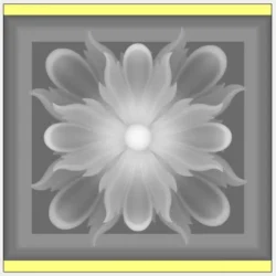 3_Flower_224
