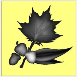 3_Flower_266