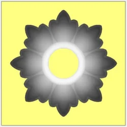 3_Flower_29