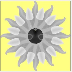 3_Flower_309