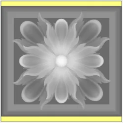 3_Flower_316