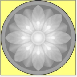 3_Flower_326