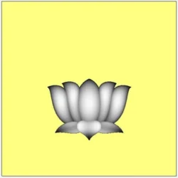 3_Flower_34