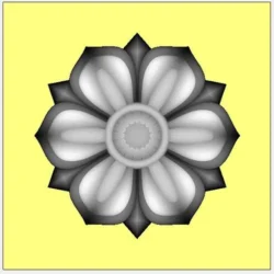3_Flower_35