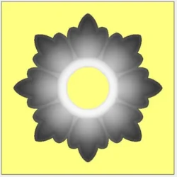 3_Flower_58